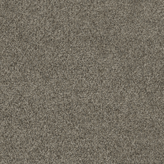 Dreamweaver Carpet Hollywood Smoky Quartz DREAMWEAVER