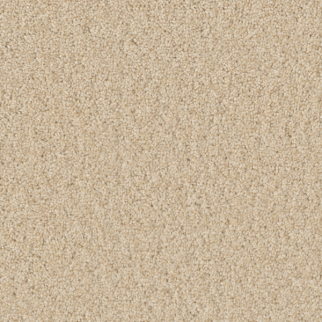 Dreamweaver Carpet Broadcast Plus Classic Ivory DREAMWEAVER