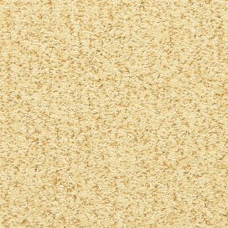 Masland Carpets Sea Grass Star Fish Masland