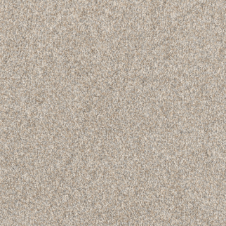 Dreamweaver Carpet Affinity I Plateau DREAMWEAVER