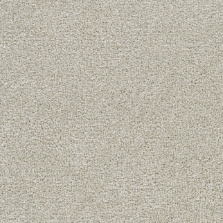 Dreamweaver Carpet Lucky Penny II Temple DREAMWEAVER