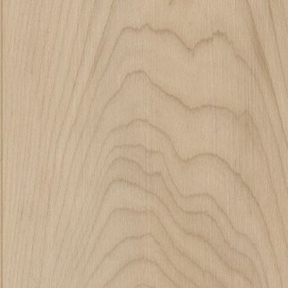 COREtec Plus COREtec Pro Plus Enhanced Planks 5mm Shoreline Maple (5 MM) US FLOORS, LLC
