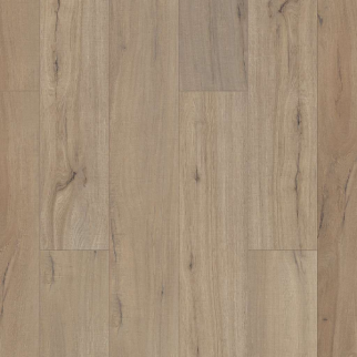 Shaw Luxury Vinyl Paladin Plus Plank Driftwood SHAW