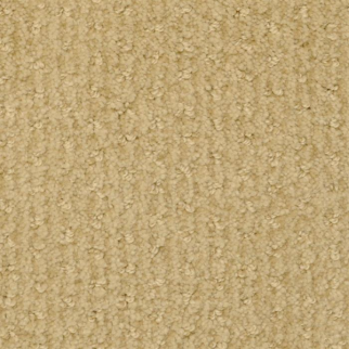 Masland Carpets Pinehurst Mulligan Masland