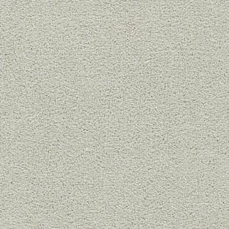 Dreamweaver Carpet Clearwater III Snowball DREAMWEAVER