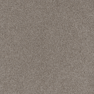 Dreamweaver Carpet Beach Club I Roman DREAMWEAVER