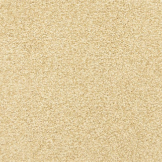 Masland Carpets This and That Ginger Snap Masland