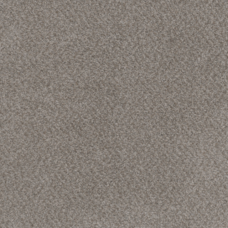 Dreamweaver Carpet Beach Club I Spanish Moss DREAMWEAVER