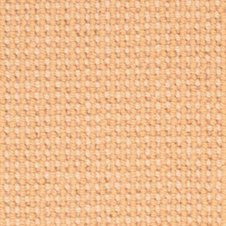 Masland Carpets Gallantry Too Chamomile Masland