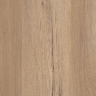 COREtec Plus COREtec Premium with Soft Step 9 Inches Blonde Oak US FLOORS, LLC