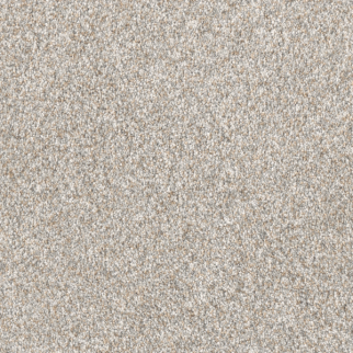 Dreamweaver Carpet Affinity III Sparrow DREAMWEAVER