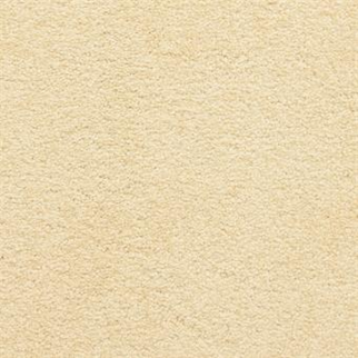 Masland Carpets Knockout Flower Masland