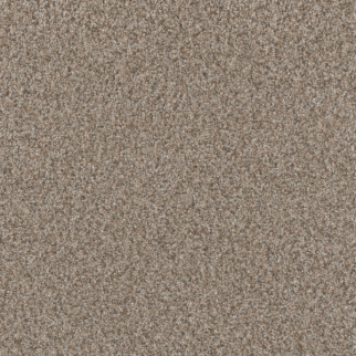 Dreamweaver Carpet Timberline II Iced Frappe DREAMWEAVER