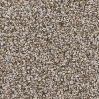 Dreamweaver Carpet West Brow Granite DREAMWEAVER