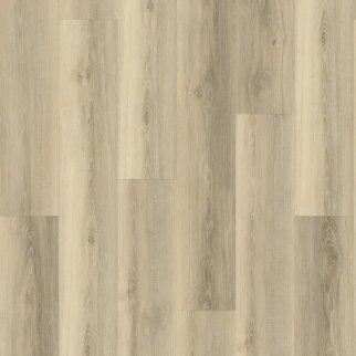 Floors 2000 Restoration 707 STANTON