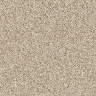 Dreamweaver Carpet Broadcast Plus Light Bisque DREAMWEAVER