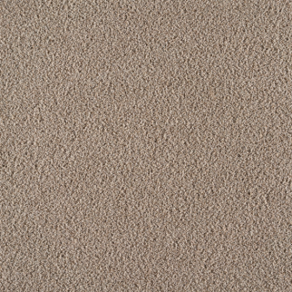 Southwind Exuberant Mustang