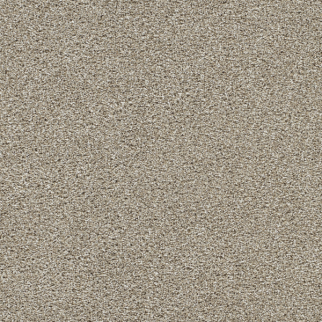 Dreamweaver Carpet Lucky Penny II Woodland DREAMWEAVER