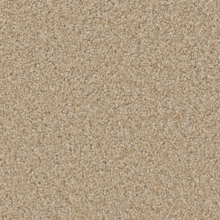 Dreamweaver Carpet Broadcast Plus Frosted Clay DREAMWEAVER