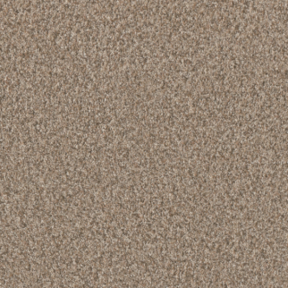 Dreamweaver Carpet Timberline I Sunshine DREAMWEAVER
