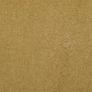 Masland Carpets Embrace Energy Masland