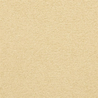 Masland Carpets Patriot Savvey Masland