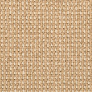 Masland Carpets Gallantry Too Butterscotch Masland