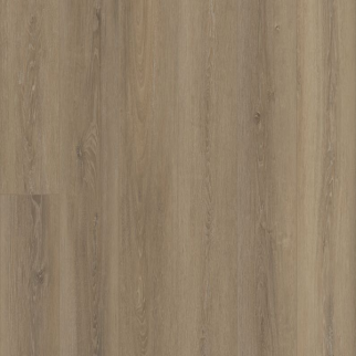 COREtec Plus COREtec Premium XL Grande Ellidy Oak US FLOORS, LLC