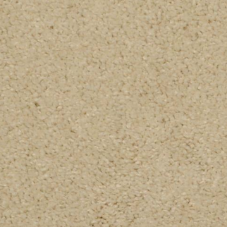 Dixie Home Soft And Silky Lantern Light