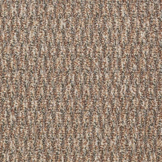 Philadelphia Commercial Speak Freely Direct Dialog Shaw