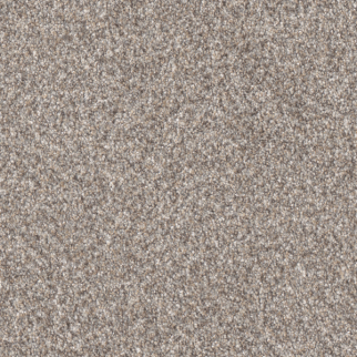 Dreamweaver Carpet Affinity II Mesa DREAMWEAVER