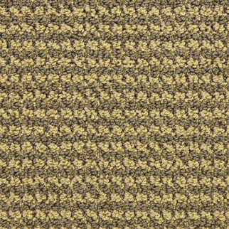 Masland Carpets Tango Grand Pile Masland