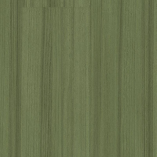 Shaw Luxury Vinyl Color Scope 20 Cactus SHAW