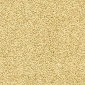 Masland Carpets Vero Beach Bronze Masland