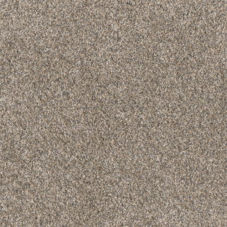 Dreamweaver Carpet Affinity II Spice DREAMWEAVER