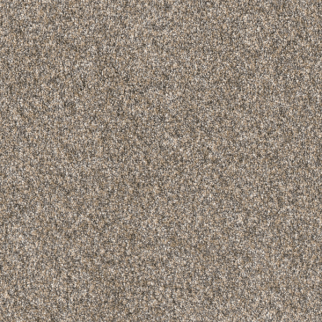 Dreamweaver Carpet Affinity III Spice DREAMWEAVER