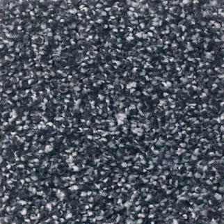 Shaw Floors Always Ready I Royal Navy SHAW