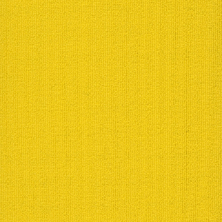 Pentz Carpet Tile by Engineered Floors Colorburst Plank Cyber ENGINEERED FLOORS