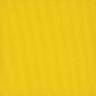 Pentz Carpet Tile by Engineered Floors Colorburst Tile Cyber ENGINEERED FLOORS