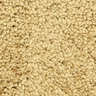 Masland Carpets Shangri-La Too Neverland Masland