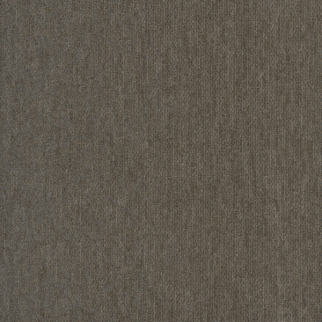 Pentz Carpet Tile by Engineered Floors Hypnotic Numbing ENGINEERED FLOORS