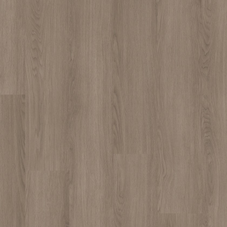 Shaw Luxury Vinyl Pathways 12 Timber SHAW
