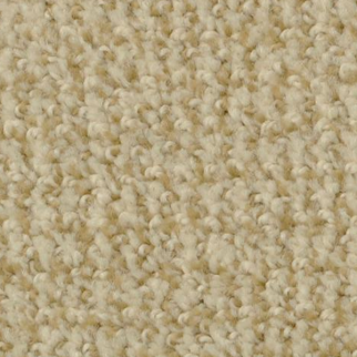 Dixie Home Boston Common Curry