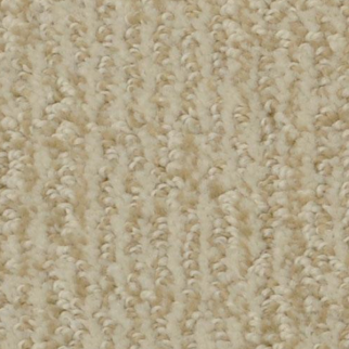 Dixie Home Cape Cod First Light