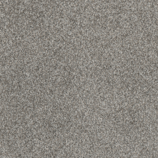 Dreamweaver Carpet Affinity II Moxie DREAMWEAVER