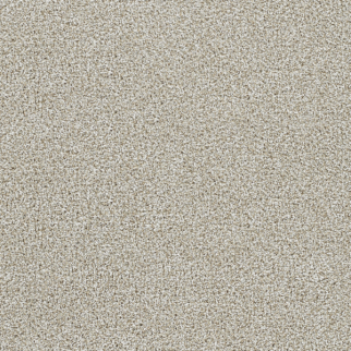 Dreamweaver Carpet Lucky Penny III Northlight DREAMWEAVER