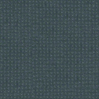 Shaw Floors Alluring Disposition Oceanside SHAW