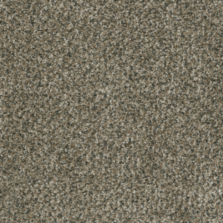 Dreamweaver Carpet Brazen I Feather Soft DREAMWEAVER
