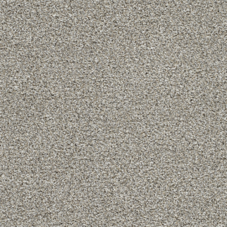 Dreamweaver Carpet Lucky Penny III Elite DREAMWEAVER