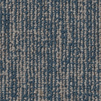 Shaw Floors Engrain Intrinsic SHAW